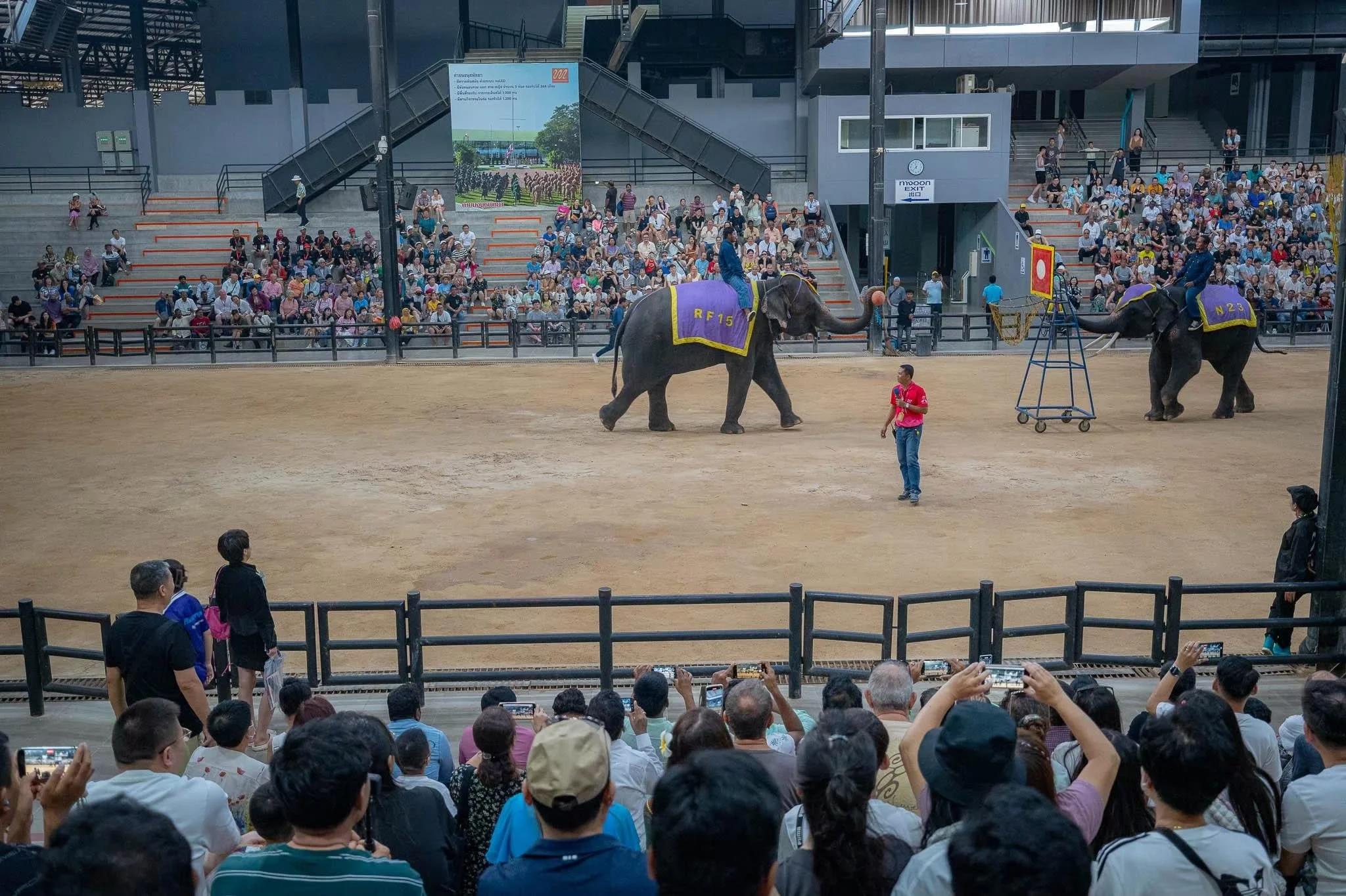 Enjoy an amazing elephant show at Non Nonch Garden